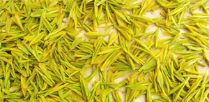黄茶有哪些品种及产地（黄茶的制作工艺冲泡方法）