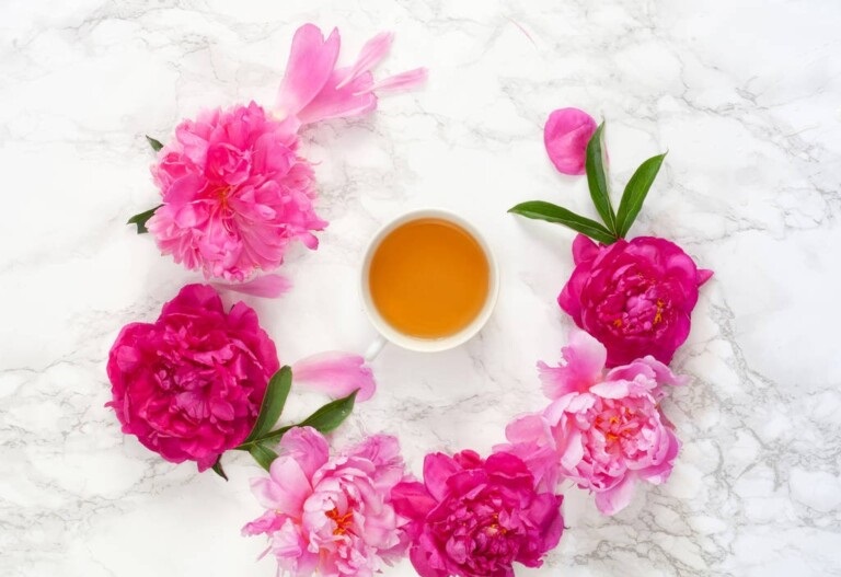 中国十大花茶排名（哪种花茶是你心中的第一？）