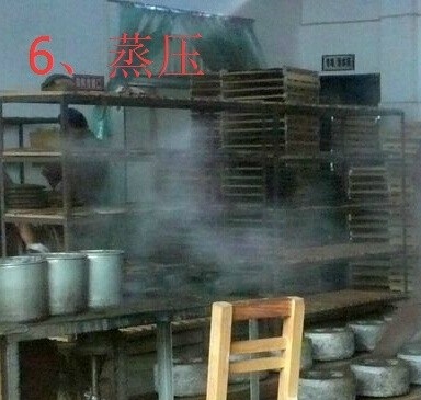 现代普洱生茶生产制作的工艺流程